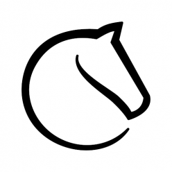 Jouer sur Lichess